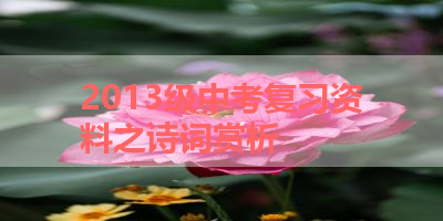 2013级中考复习资料之诗词赏析 