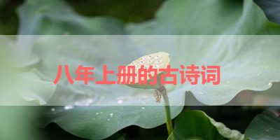 八年上册的古诗词 