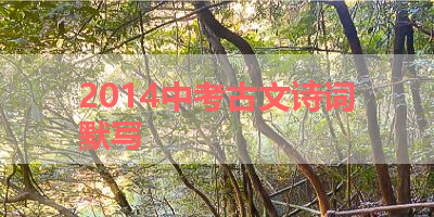 2014中考古文诗词默写 