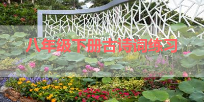 八年级下册古诗词练习 
