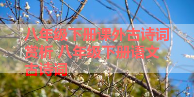 八年级下册课外古诗词赏析 八年级下册语文古诗词