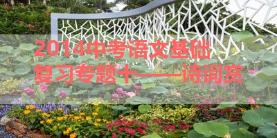 2014中考语文基础复习专题十——诗词赏 