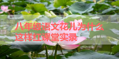 八年级语文花儿为什么这样红课堂实录 