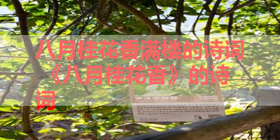 八月桂花香满楼的诗词 《八月桂花香》的诗词 