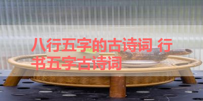 八行五字的古诗词 行书五字古诗词