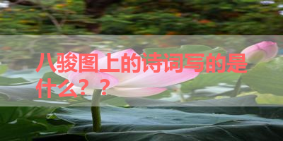 八骏图上的诗词写的是什么？？ 