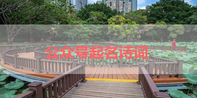公众号起名诗词 
