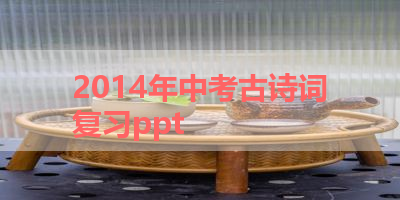 2014年中考古诗词复习ppt 