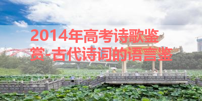 2014年高考诗歌鉴赏-古代诗词的语言鉴 