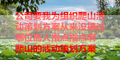 公司要我为组织爬山活动策划方案从来没搞过哪位高人指点指点啊 爬山的活动策划方案