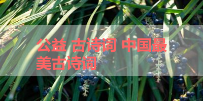 公益 古诗词 中国最美古诗词