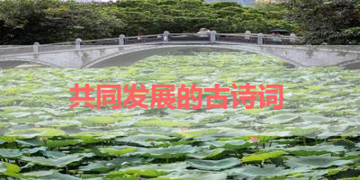 共同发展的古诗词 