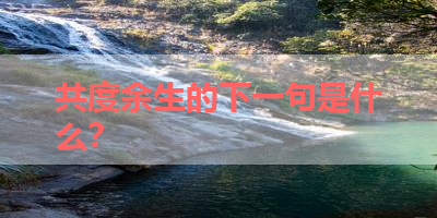 共度余生的下一句是什么？ 