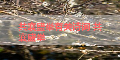 共襄盛举有关诗词 共襄盛举