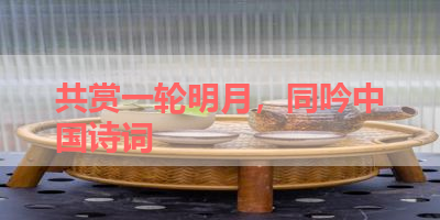 共赏一轮明月，同吟中国诗词 