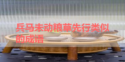 兵马未动粮草先行类似的成语 