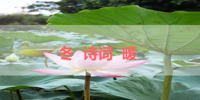 冬  诗词  暖 