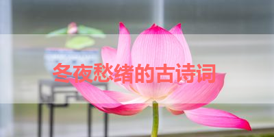 冬夜愁绪的古诗词 