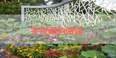 冬夜雨的诗词 