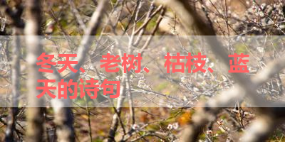 冬天、老树、枯枝、蓝天的诗句 