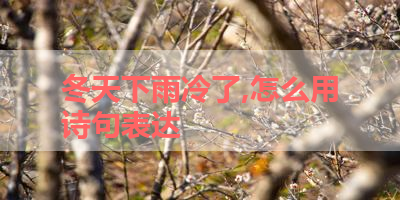 冬天下雨冷了,怎么用诗句表达 