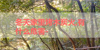 冬天家里烤木炭火,有什么危害- 