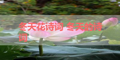 冬天花诗词 冬天的诗词