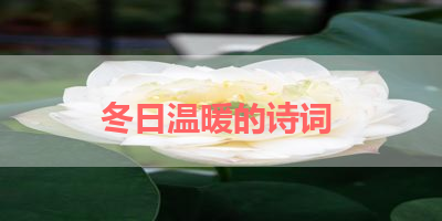 冬日温暖的诗词 