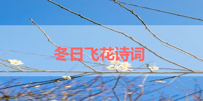 冬日飞花诗词 