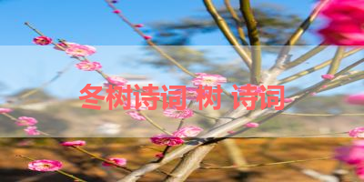 冬树诗词 树 诗词