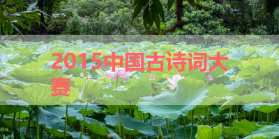2015中国古诗词大赛 