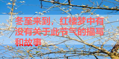 冬至来到，红楼梦中有没有关于此节气的描写和故事 