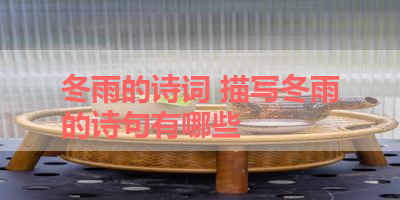 冬雨的诗词 描写冬雨的诗句有哪些 