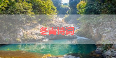 冬青诗词 