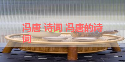 冯唐 诗词 冯唐的诗词