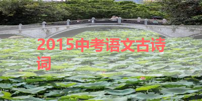 2015中考语文古诗词 