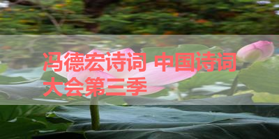 冯德宏诗词 中国诗词大会第三季