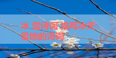 冰 雪诗词 描写冰天雪地的诗词