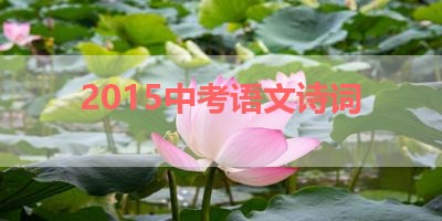 2015中考语文诗词 