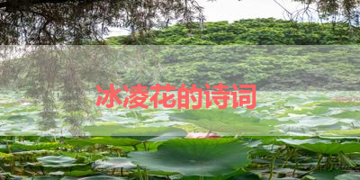 冰凌花的诗词 