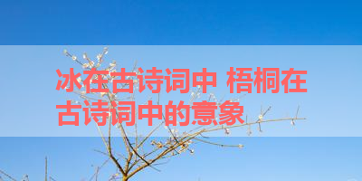 冰在古诗词中 梧桐在古诗词中的意象