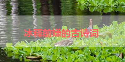 冰释前嫌的古诗词 