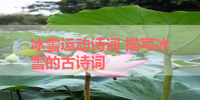 冰雪运动诗词 描写冰雪的古诗词 