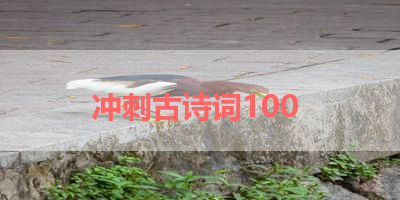 冲刺古诗词100 