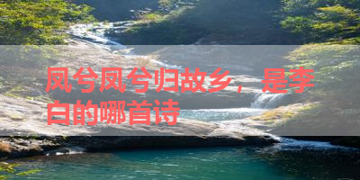 凤兮凤兮归故乡，是李白的哪首诗 