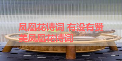 凤凰花诗词 有没有赞美凤凰花诗词 