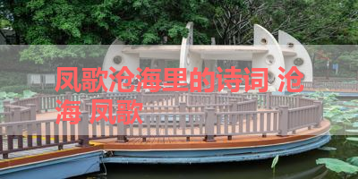 凤歌沧海里的诗词 沧海 凤歌