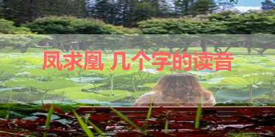 凤求凰 几个字的读音 