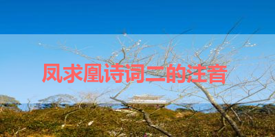 凤求凰诗词二的注音 