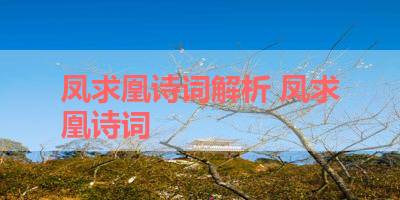 凤求凰诗词解析 凤求凰诗词